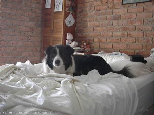 On bed 4